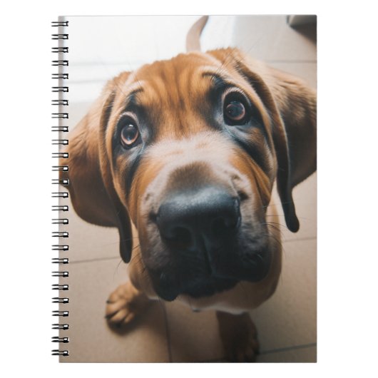 かわいい犬 ノートブック (正面)