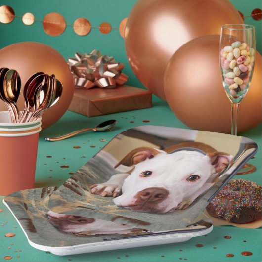 かわいい犬 ペーパープレート (複数)