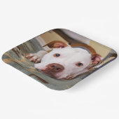 かわいい犬 ペーパープレート (傾斜あり)