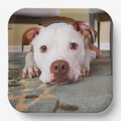 かわいい犬 ペーパープレート (正面)