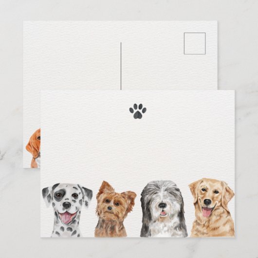 かわいい犬 ポストカード (正面/裏面)