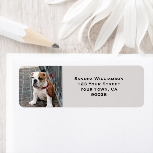 かわいい犬 ラベル (インサイチュ)