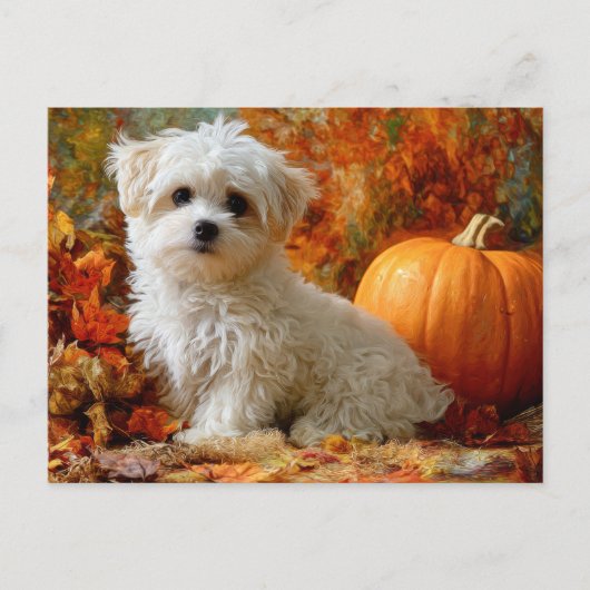 かわいい犬 秋のデザイン オータム パンプキン 紅葉 ポストカード (正面)