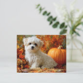 かわいい犬 秋のデザイン オータム パンプキン 紅葉 ポストカード (スタンド正面)