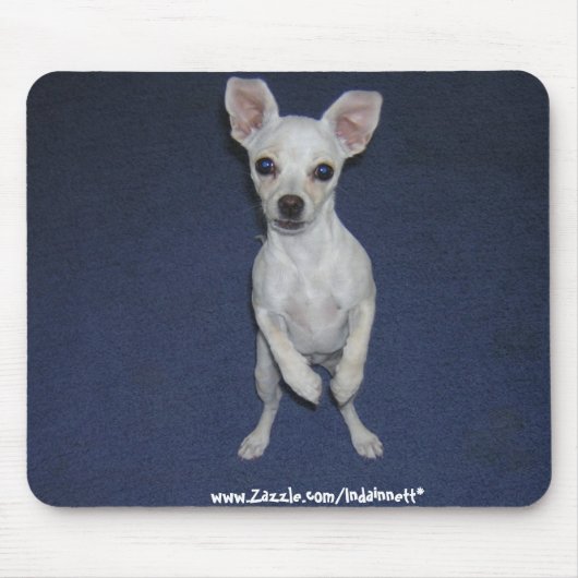 かわいい犬Up-Mousepad. マウスパッド (正面)