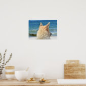 かわいい犬WiTh塩辛い毛皮ビーチ ポスター (キッチン)