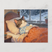 かわいい猫が冬の雪の外で眠っている ポストカード (正面)