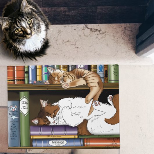 かわいい猫が寝ている本棚のイラスト ドアマット