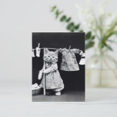 かわいい猫が洗濯して洋服を着るヴィンテージプリント ポストカード (スタンド正面)