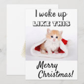 かわいい猫が目を覚ました... 赤い写真 シーズンカード (正面/裏面)