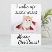 かわいい猫が目を覚ました... 赤い写真 シーズンカード (スタンド正面)