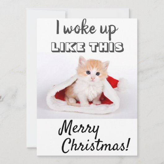 かわいい猫が目を覚ました... 赤い写真 シーズンカード (正面)