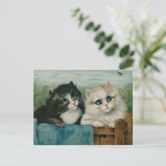 かわいい猫たちが柵に出てくる ポストカード (スタンド正面)
