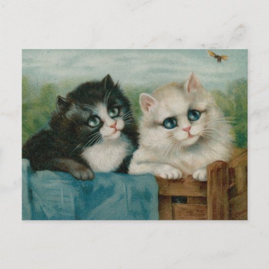 かわいい猫たちが柵に出てくる ポストカード (正面)
