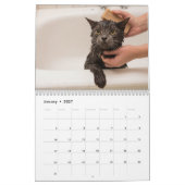 かわいい猫たちカスタマイズ可能なフォトウォール カレンダー (1月 2027)
