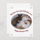 かわいい猫たち人生を願うバレンタインデー シーズンカード (正面/裏面)