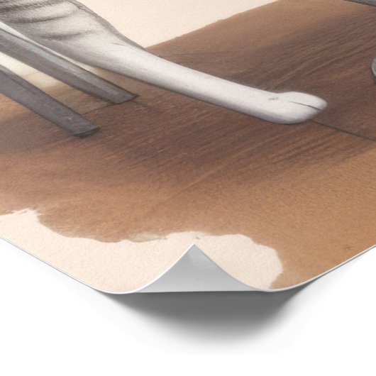 かわいい猫たち2 ポスター (角)