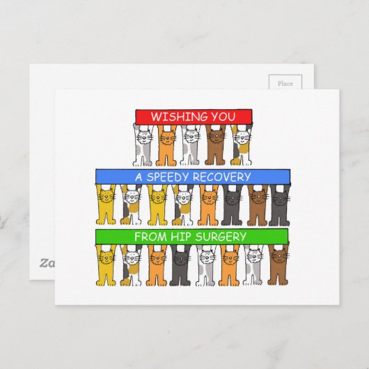 かわいい猫たち、お尻手術から素早く回復 ポストカード (正面/裏面)