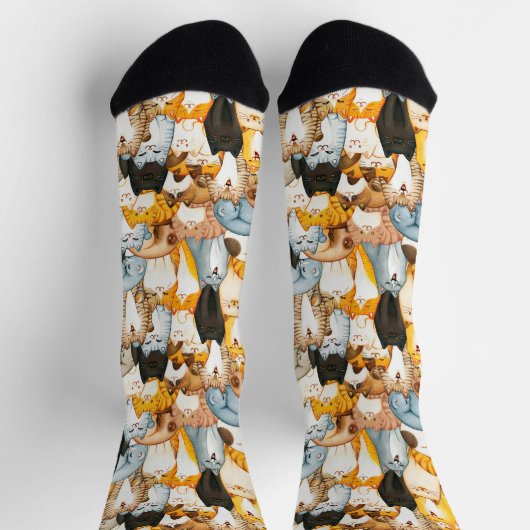 かわいい猫たち ソックス (上部)