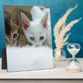 かわいい猫たち フォトプラーク (側面)