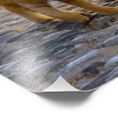 かわいい猫たち、同じ道を歩く – ペーパープリント フォトプリント            (角)