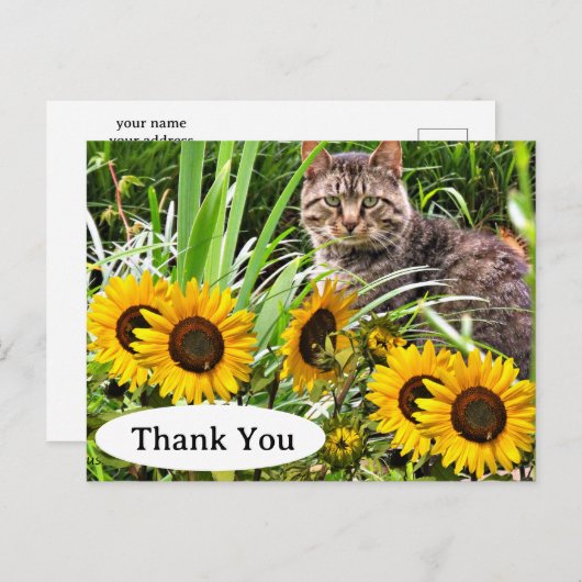 かわいい猫とひまわりの感謝のポストカード ポストカード (正面/裏面)