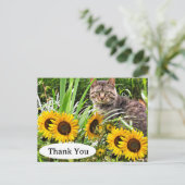 かわいい猫とひまわりの花ポストカード|過去記事 ポストカード (スタンド正面)