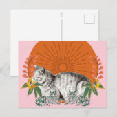 かわいい猫とタイガースはがき ポストカード (正面/裏面)