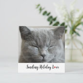 かわいい猫とホリデー・ラブ (スタンド正面)