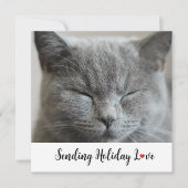 かわいい猫とホリデー・ラブ (正面)
