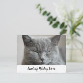 かわいい猫とホリデー・ラブ シーズンポストカード (スタンド正面)