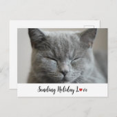 かわいい猫とホリデー・ラブ シーズンポストカード (正面/裏面)