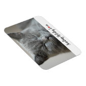 かわいい猫とホリデー・ラブ マグネット (右側)