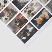 かわいい猫と子猫の写真テンプレートが白 薄葉紙 (詳細)