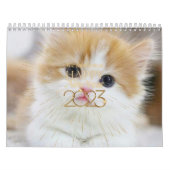 かわいい猫と子猫2023年カレンダー カレンダー (カバー)