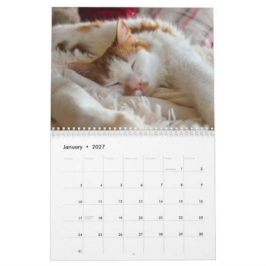 かわいい猫と子猫2023年カレンダー カレンダー (1月 2027)