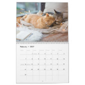 かわいい猫と子猫2023年カレンダー カレンダー (2月 2027)
