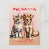 かわいい猫と犬の水色 ポストカード (正面)