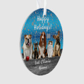 かわいい猫と犬の獣医クリスマス オーナメント (正面)