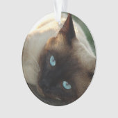 かわいい猫に写真と名前を付ける オーナメント (正面)