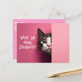 かわいい猫のぞき ポストカード