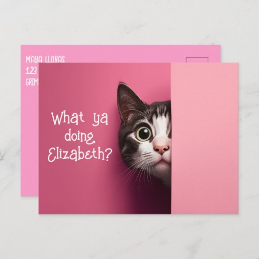 かわいい猫のぞき ポストカード (正面/裏面)