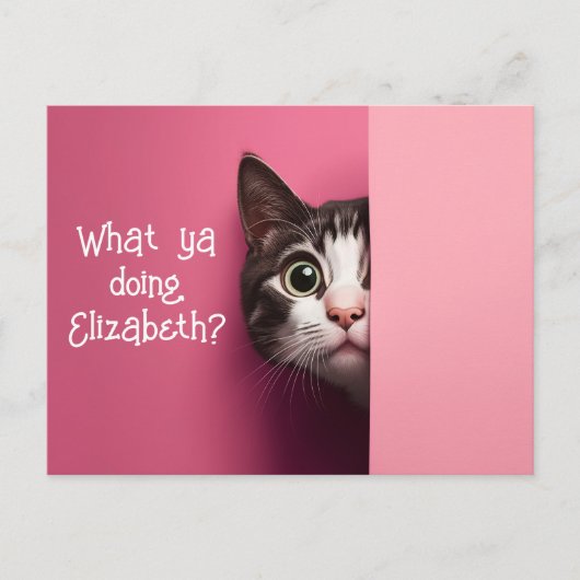 かわいい猫のぞき ポストカード (正面)