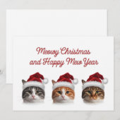 かわいい猫のクリスマスイブ　クリスマス帽をかぶった猫 シーズンカード (正面/裏面)