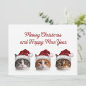 かわいい猫のクリスマスイブ　クリスマス帽をかぶった猫 シーズンカード (スタンド正面)