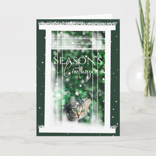 かわいい猫のクリスマスカードが置かれた冬の窓 カード (正面)