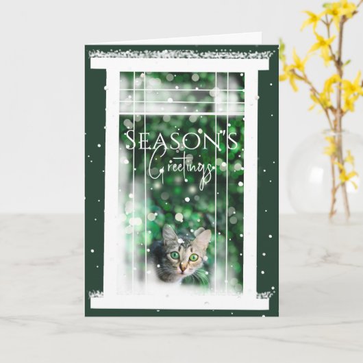 かわいい猫のクリスマスカードが置かれた冬の窓 カード (黄色い花)