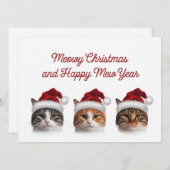 かわいい猫のクリスマス仕様の帽子を被ったメロメロ シーズンカード (正面/裏面)