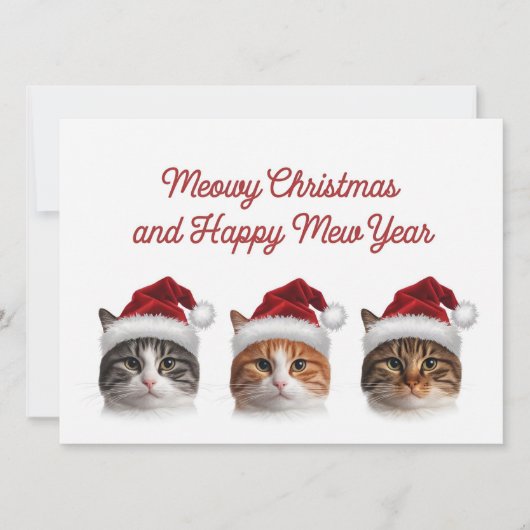 かわいい猫のクリスマス仕様の帽子を被ったメロメロ シーズンカード (正面)