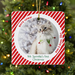 かわいい猫のクリスマス記念アクセサリー セラミックオーナメント